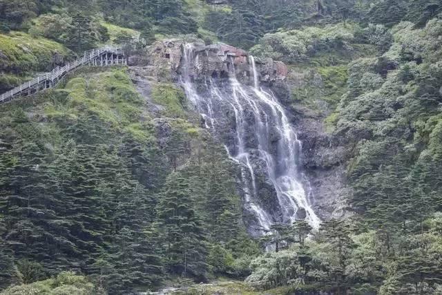 巧虎踢足球2